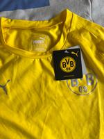 BVB Thermoshirt S neu mit Etikett Nordrhein-Westfalen - Ense Vorschau