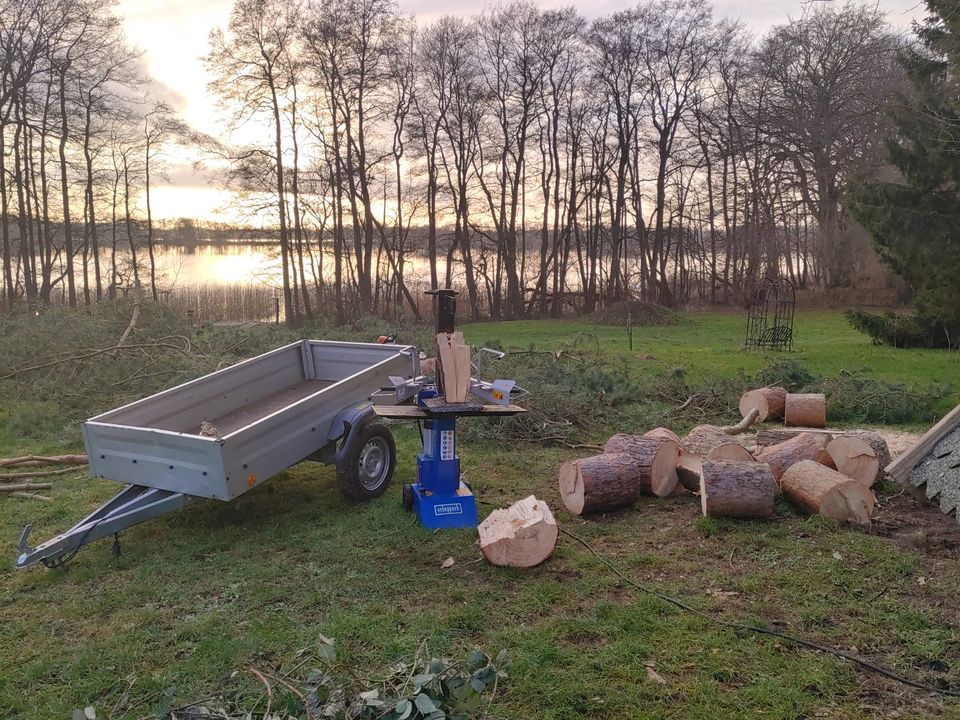 ...und klein: Holzspalter hydraulisch 8to / 55cm für Kaminholz in Schmalensee