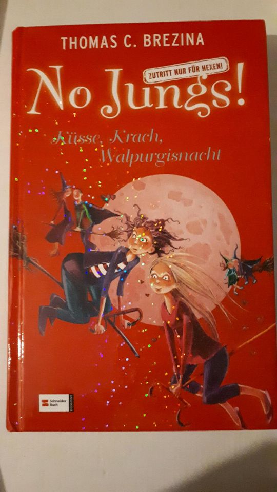 Buch: No Jungs! Küsse, Krach, Walpurgisnacht von Th. C. BREZINA in München