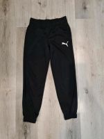 Puma Jogginghose Gr.152 Wandsbek - Hamburg Tonndorf Vorschau