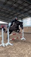 Reiterin sucht Pferd/ Pony - Reitbeteiligung Wandsbek - Hamburg Bramfeld Vorschau