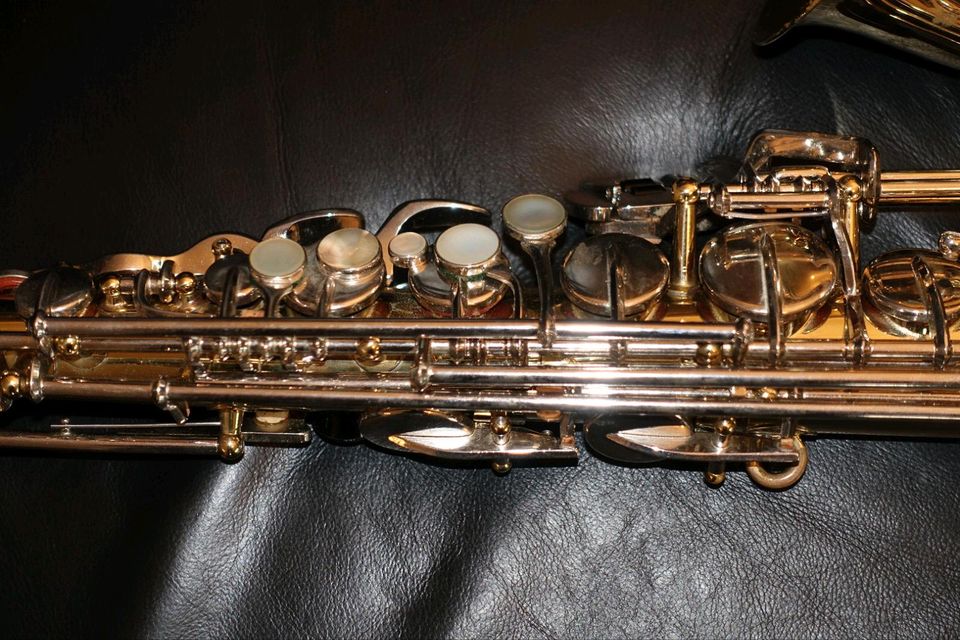 Buescher Aristocrat 200 Alt Saxophon in Aalen
