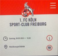 1 FC Köln gegen Freiburg Niedersachsen - Schwerinsdorf  Vorschau