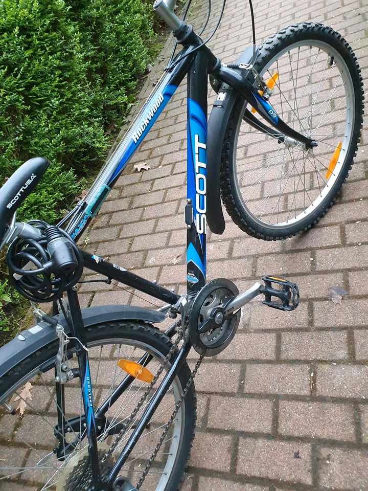 Fahrrad zu verkaufen in Detmold