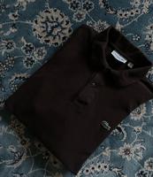 Lacoste Langarm-Poloshirt / Gr. L Nordrhein-Westfalen - Bornheim Vorschau
