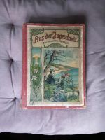 Antikes Buch-Aus der Jugendzeit von ca.1905 Niedersachsen - Melle Vorschau