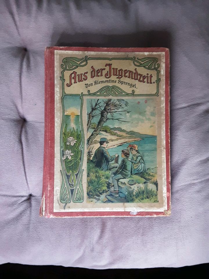 Antikes Buch-Aus der Jugendzeit von ca.1905 in Melle