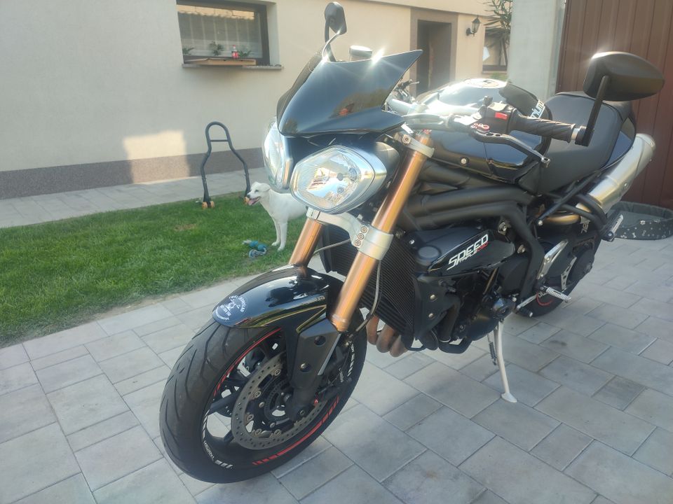 Triumph Speed Triple 1050 ABS in Görlitz