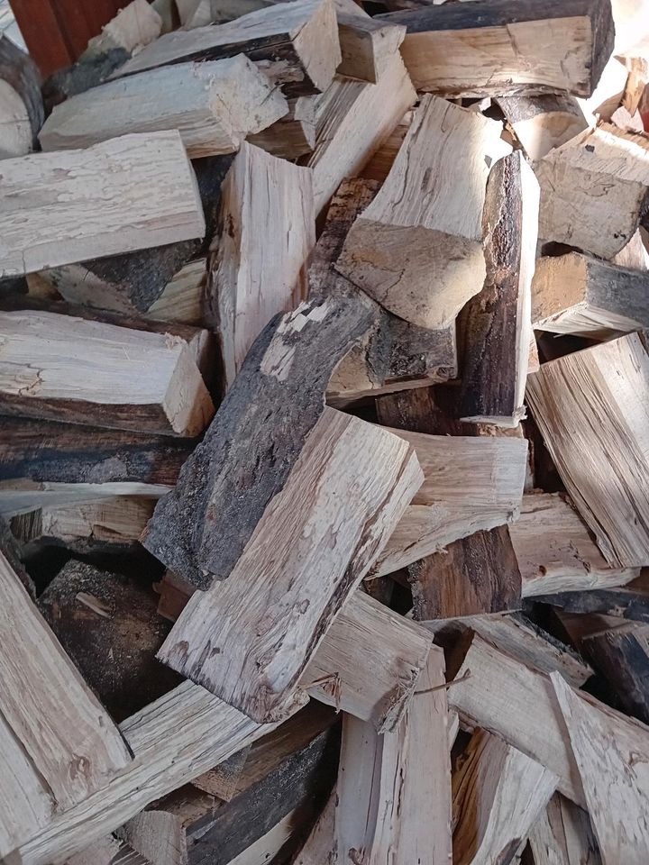 Brennholz kaminholz in Frechen