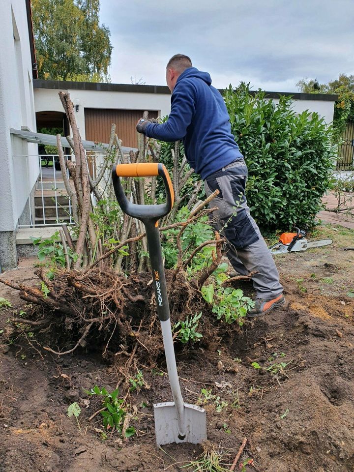 Gartenarbeit & Gartenpflege, Unkraut entfernen, Heckenschnitt in Nürnberg (Mittelfr)