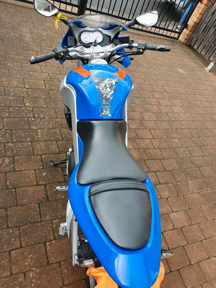 Buell XB9SX in Linsengericht