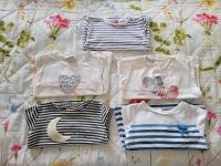 5x Oberteile gr. 80 Langarmshirts Zara Eat Ants Mexx Bayern - Pullach Vorschau