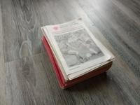 95 Fussballprogramme Dynamo Dresden DDR-Oberliga Baden-Württemberg - Gengenbach Vorschau