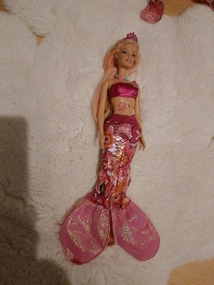 Verschiedene Barbie, Steffi und MLP Puppen in Breddenberg