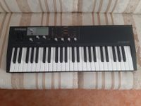 Waldorf Blofeld Synthesizer Keyboard schwarz - Shadow Edition Mitte - Wedding Vorschau