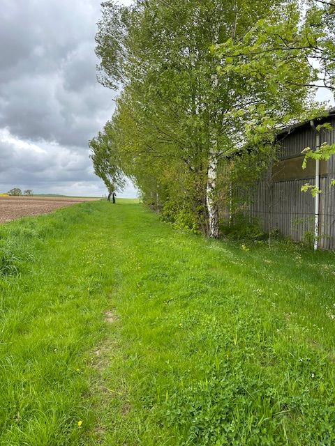 Pferdehof / Reiterhof / Reitstall in Landolfshausen