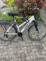 AluRex Damen Fahrrad 28 Zoll Saarland - Riegelsberg Vorschau