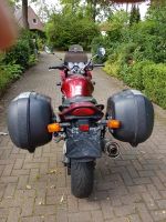 Suzuki GSF 1200S Bandit Harburg - Hamburg Hausbruch Vorschau