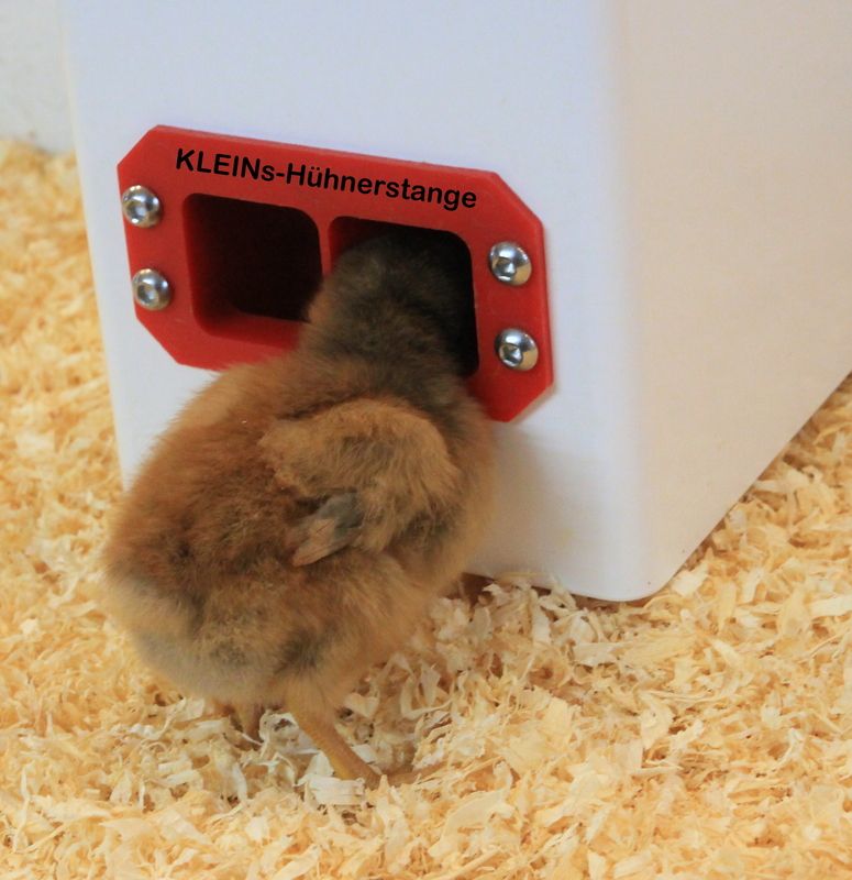 KLEINs Hühnerstange Tränke Futterspender Küken Hühner Stall in Göcklingen