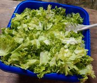 Grüner Salat zu verschenken, Lebensmittel, Foodsharing Niedersachsen - Kirchlinteln Vorschau