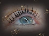 Wimpernlifting/ Lashlifting/ Brow Lifting/ Browlifting Nordrhein-Westfalen - Steinfurt Vorschau