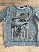 Next cooles Sweatshirt Dinosaurier grau 8 Jahre 128 Thüringen - Aschenhausen Vorschau