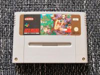 SNES Super Nintendo Spiel Taz Mania Niedersachsen - Salzgitter Vorschau