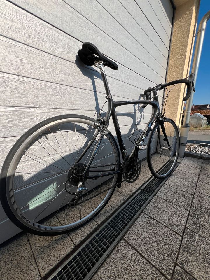 Giant SCR 2.0 Carbon Rennrad Shimano in Forchheim