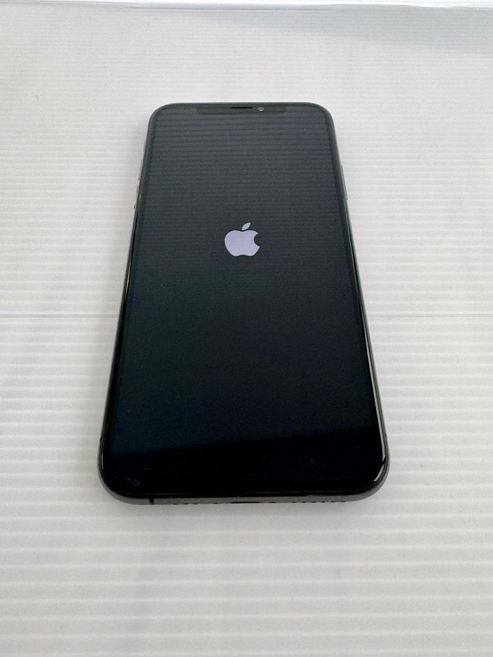 iPhone XS, 256 GB, 100 % Akkuleistung in Wiesbaden