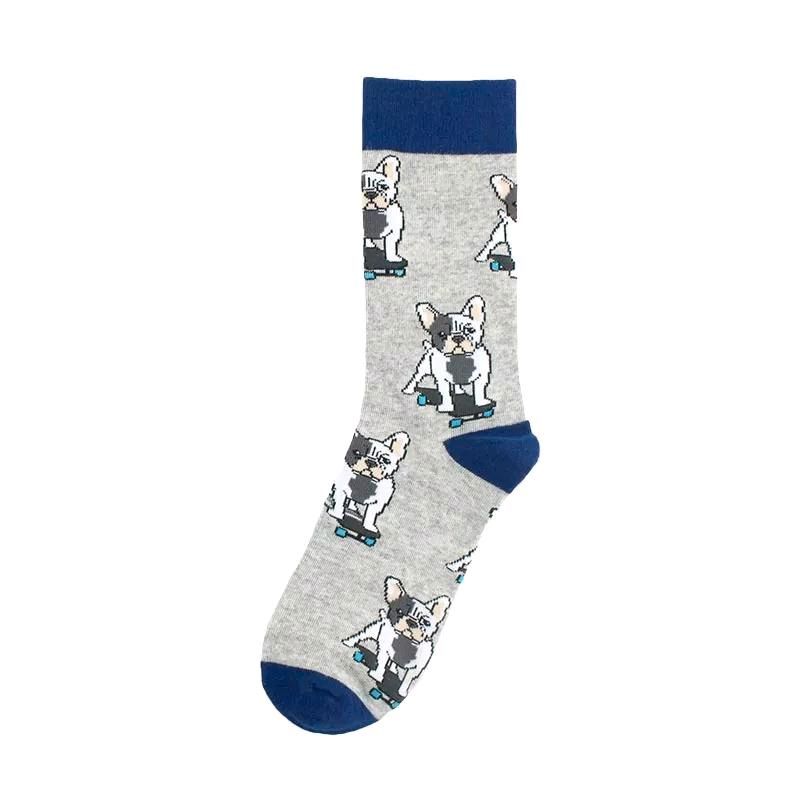 Socken "Französische Bulldogge / Hund" Gr. 39-42 NEU in Schleswig-Holstein  - Henstedt-Ulzburg | eBay Kleinanzeigen ist jetzt Kleinanzeigen