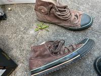 Chucks für den Winter Nürnberg (Mittelfr) - Mitte Vorschau