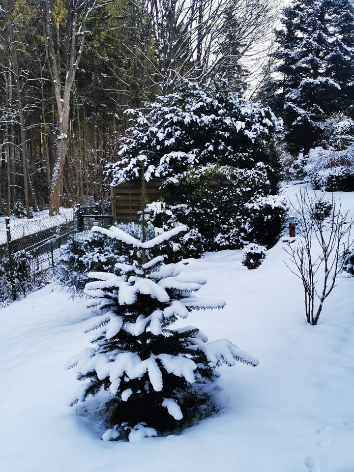 ✿❀ traumhaftes Gartenhaus mit toller Ausstattung ✾❁ in Ehrenfriedersdorf