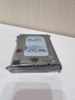 Neue WD Western Digital Gold Datacenter 2TB WD2005FBYZ Sachsen-Anhalt - Helbra Vorschau