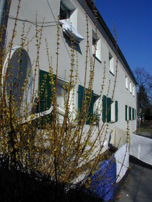 Bezugsfertige Wohnung - Einfach Möbel rein und Füße hoch! in Moers