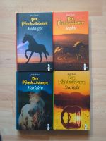 Der Pferdezauberer Reihe 4 Bücher Kinder Jugend Judy Waite Pferd Hessen - Büdingen Vorschau