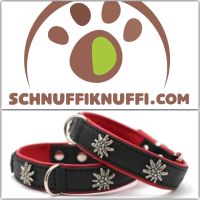 Edelweiss Leder MAUL Hundehalsband für Hunde schwarz-rot / silber Hessen - Calden Vorschau