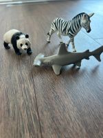 Schleich Tiere Hammer Hai, Zebra, Panda extra Baden-Württemberg - Rauenberg Vorschau