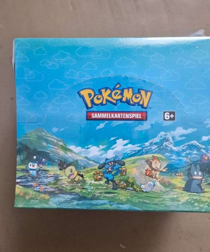 Mini Tins - Sinnoh Sterne Display deutsch in Wasungen