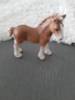 Schleich Clydesdale Fohlen 13671 ab 3Jahren Bochum - Bochum-Mitte Vorschau