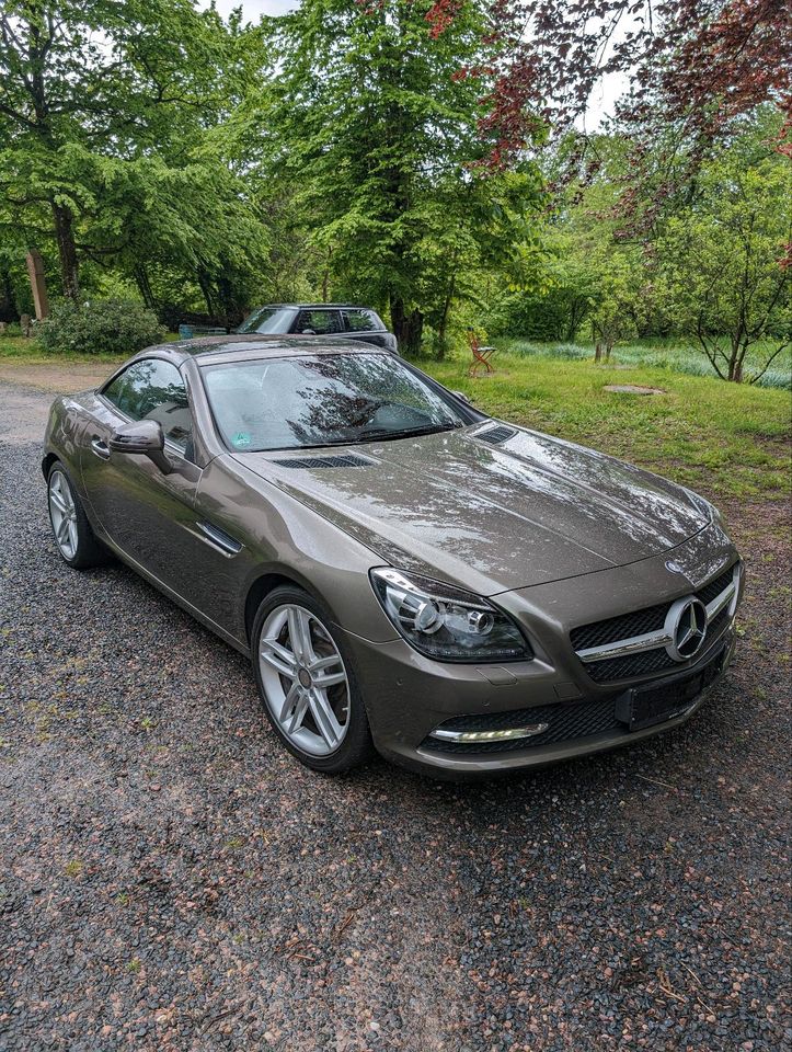 Mercedes SLK 300, 9 G Tronic, 245 PS, Leder in Gemünden a. Main