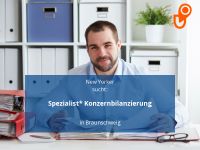 Spezialist* Konzernbilanzierung | Braunschweig Niedersachsen - Braunschweig Vorschau