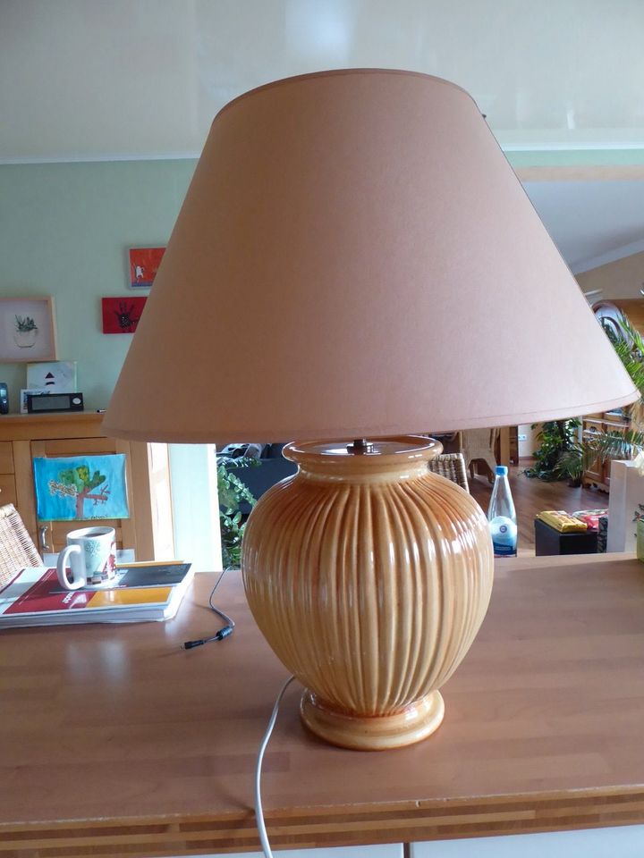 schöne Designer Lampe der Marke Kostka/Frankreich in Mendig