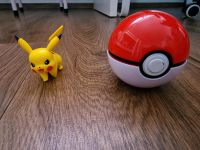 Pokemonball mit Pikachu Nordrhein-Westfalen - Warburg Vorschau