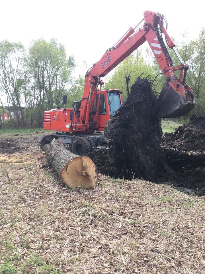 Erdbau, Erdarbeiten, Baggerarbeiten, Pflasterarbeiten, Abriss in Bestensee