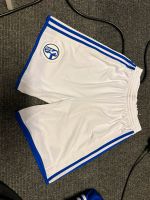 FC Schalke 04 Adidas kurze Hose Größe 164 Nordrhein-Westfalen - Gelsenkirchen Vorschau