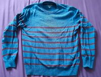 Pullover Tommy hilfiger  L blau Nordrhein-Westfalen - Ahlen Vorschau