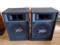 Peavey ES-15PE 15" Powered P.A Speaker Bayern - Halblech Vorschau