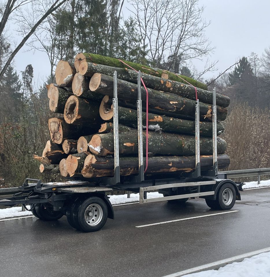 Holztransporte, Holz fahren, Rückewagen, Brennholz in Singen