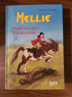 Melli  - Abenteuer einer Ponyflüsterin Niedersachsen - Laatzen Vorschau