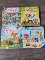 Bücher zum Entdecken für Kleinkinder Nordrhein-Westfalen - Kürten Vorschau